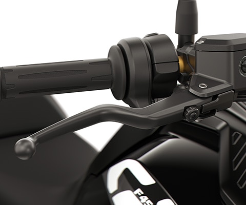La maneta regulable de la F 450 GS de BMW Motorrad